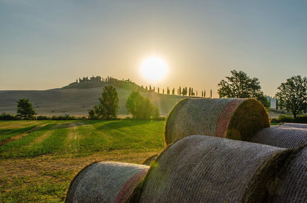The hills of Siena, an open-air theater for charming sceneries and prestigious villas