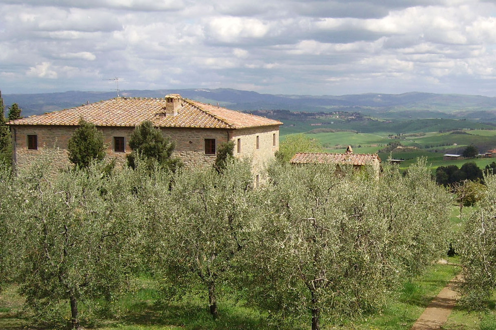 Pisan hills, villas and farmhouses for sale in contact with nature